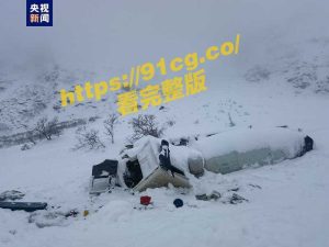 【国际新闻】西藏林芝市派墨公路雪崩事故视频