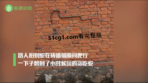 3D版“贪吃蛇”