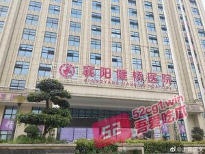 湖北襄阳健桥医院院长 叶有芝倒卖出生证明每张赚6万，已被警方带走。