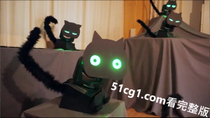 #猫猫头 总是凝望着你