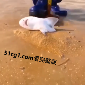 小 #鲨鱼 卡在沙子里 好心人救了她