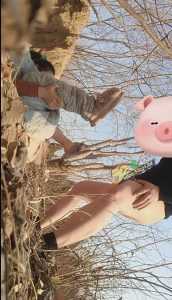 网传大西北某村长哄骗威胁高中生黄土高坡上做爱  听声音就知道很稚嫩，应该是刚破处没多久