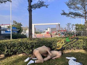 奇葩无处不在 深圳两个肥猪男同 大白天在绿化带玩花活  给我看吐了
