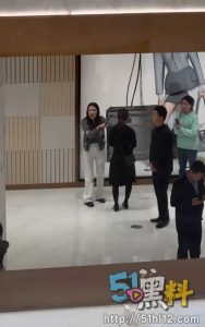 合肥银泰商城LV柜姐lily 勾引有妇之夫 13分钟视频完整版～