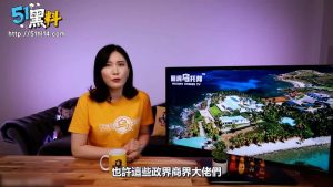 吹牛老爹Diddy 萝莉岛罪恶派对 名单曝光 明星集体塌房 完整版事件独家爆料！