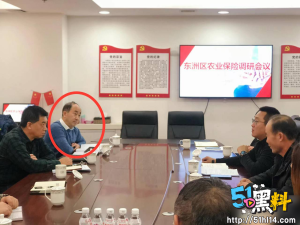 辽宁抚顺农业局财会科长方绍银  采用欺骗手段婚内出轨多位女子 情趣酒店监控视频曝光
