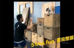 人类是狗狗最好的朋友