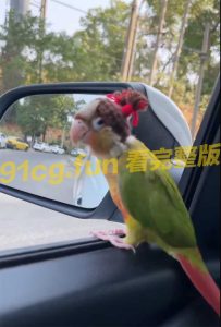 你看我可爱不❓