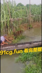 姜太公钓鱼，愿者上船 #钓鱼