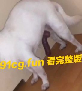 伟哥被狗 吃了 🐶 #狗子