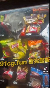 哪里来的小可爱 是怎么跑进去的呢