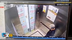 小花你慢走！粗心狗主人遛狗倒垃圾 不小心狗先进电梯被勒死