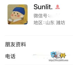 赵丽欣当小三视频流出 大尺度诱惑让人口水直流！