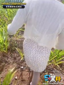 调教姐姐第14集~和姐姐玉米地刺激做爱