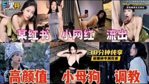 黑料撸片解说 某红书反差感小网红与渣男分手后自拍视频流出
