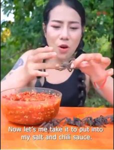 美食节目开始吃大餐 #蜘蛛