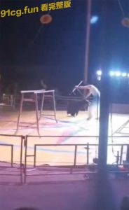 马戏团表演棕熊突失控攻击驯兽师