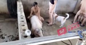 怎么，射不出来？— 国内史上最牛逼的家庭乱伦 真的是太疯狂了！