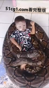 这么大只的蛇，小孩都不怕，玩起来了