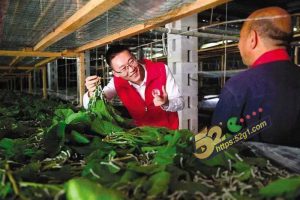 重庆市黔江区司法局 李铁 出轨经贸学院19岁女大学生 邹淑琴 老婆怒爆聊天记录和不雅视频！