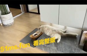 #猫猫头 坐姿难看