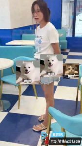 广东信宜男子迎娶外国媳妇  不料被越南女子骗婚  赔了夫人又赔了金钱